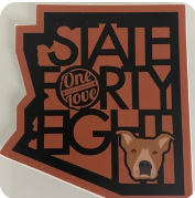 State 48 Sticker- Copper